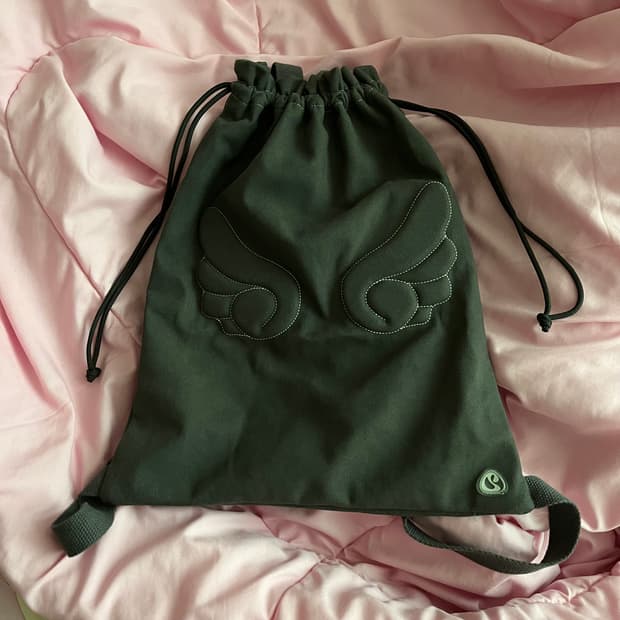 코이세이오 엔젤윙 스부 슈케이스 가방