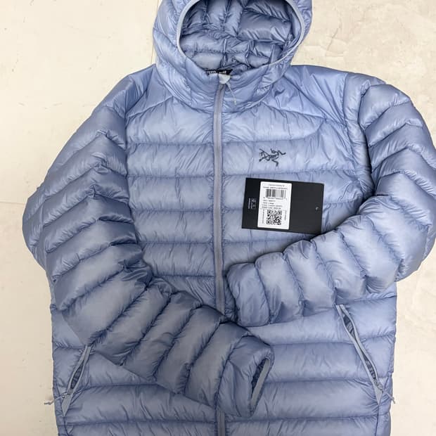 아크테릭스 세륨 루센트 L 