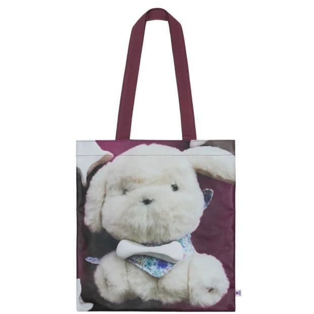 코이세이오 오후백