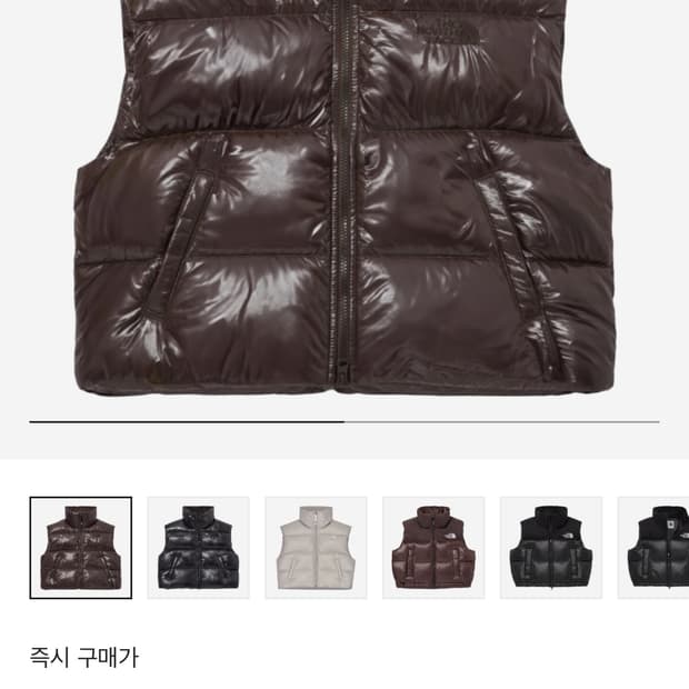 노스페이스 눕시조끼패딩