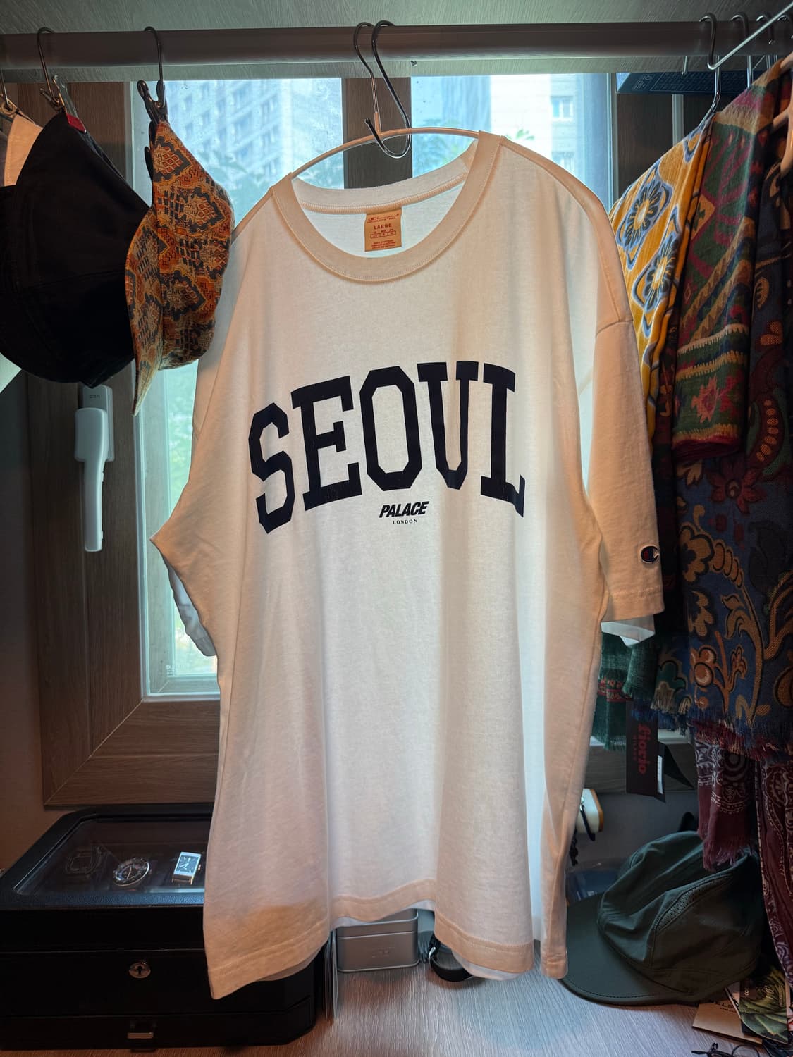 PALACE x Champion SEOUL t-shirt | 후루츠패밀리