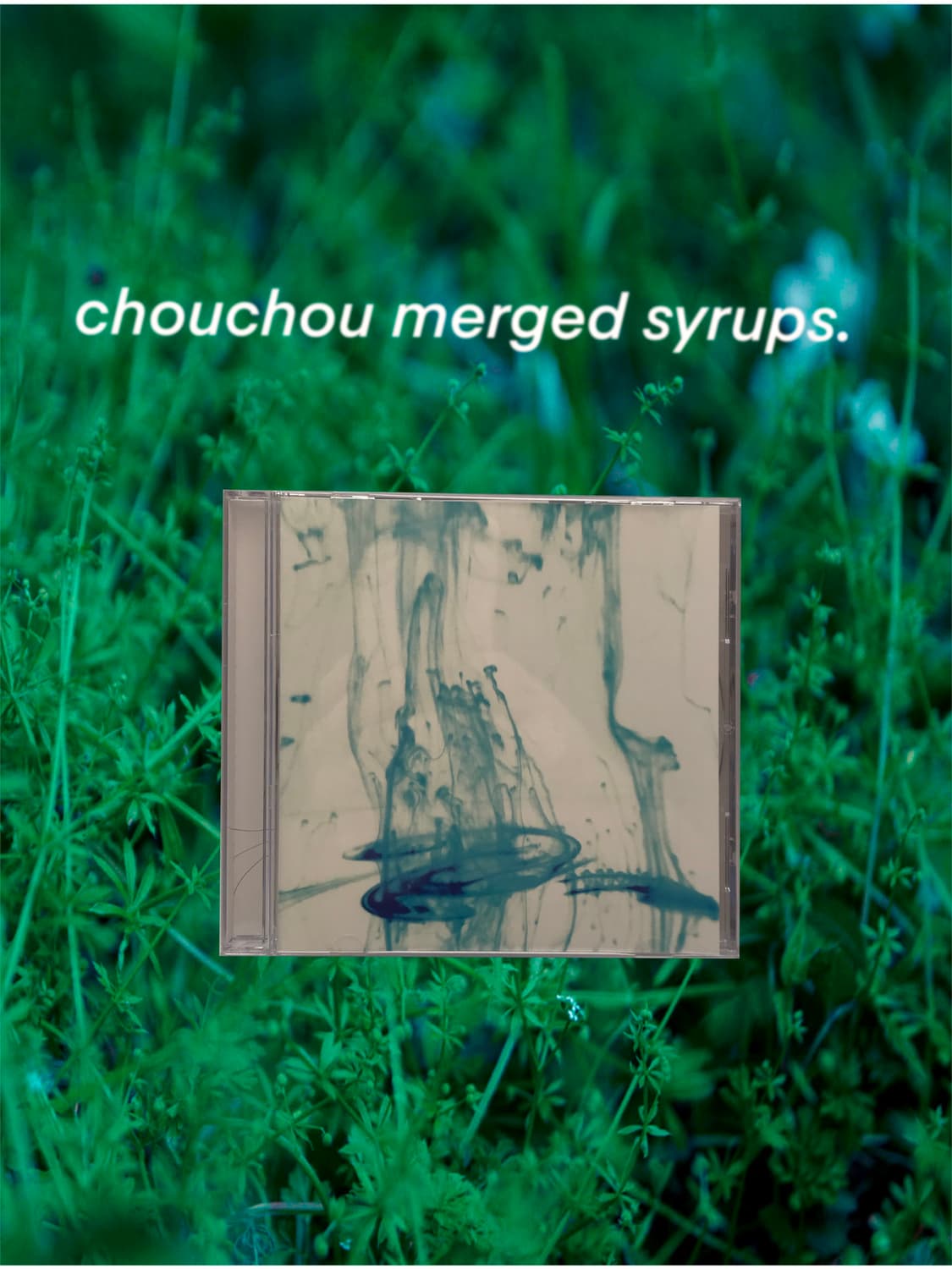 Chouchou merged syrups. - Since🌿 | 후루츠패밀리