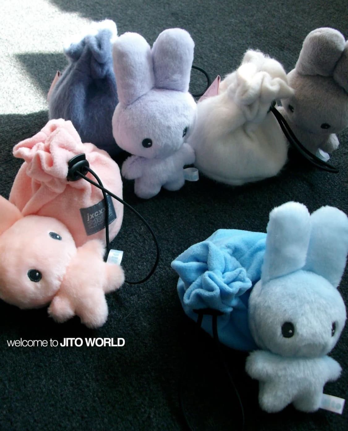JITO JICHOI 지토 지초이 Jichoi Jito Doll #지토,#지초이컴포트,#지초이 on Bunjang