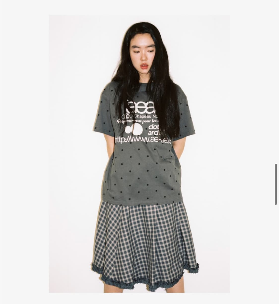 aeae check wrap pleats skirt | 후루츠패밀리