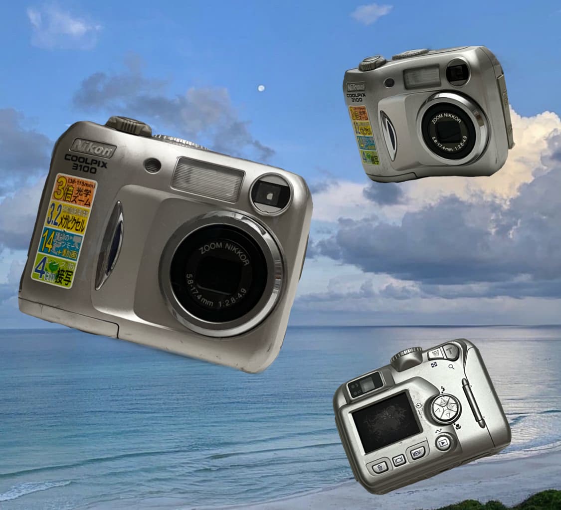 ニコン COOLPIX 3100で撮影された写真 (レビュー) - 価格.com