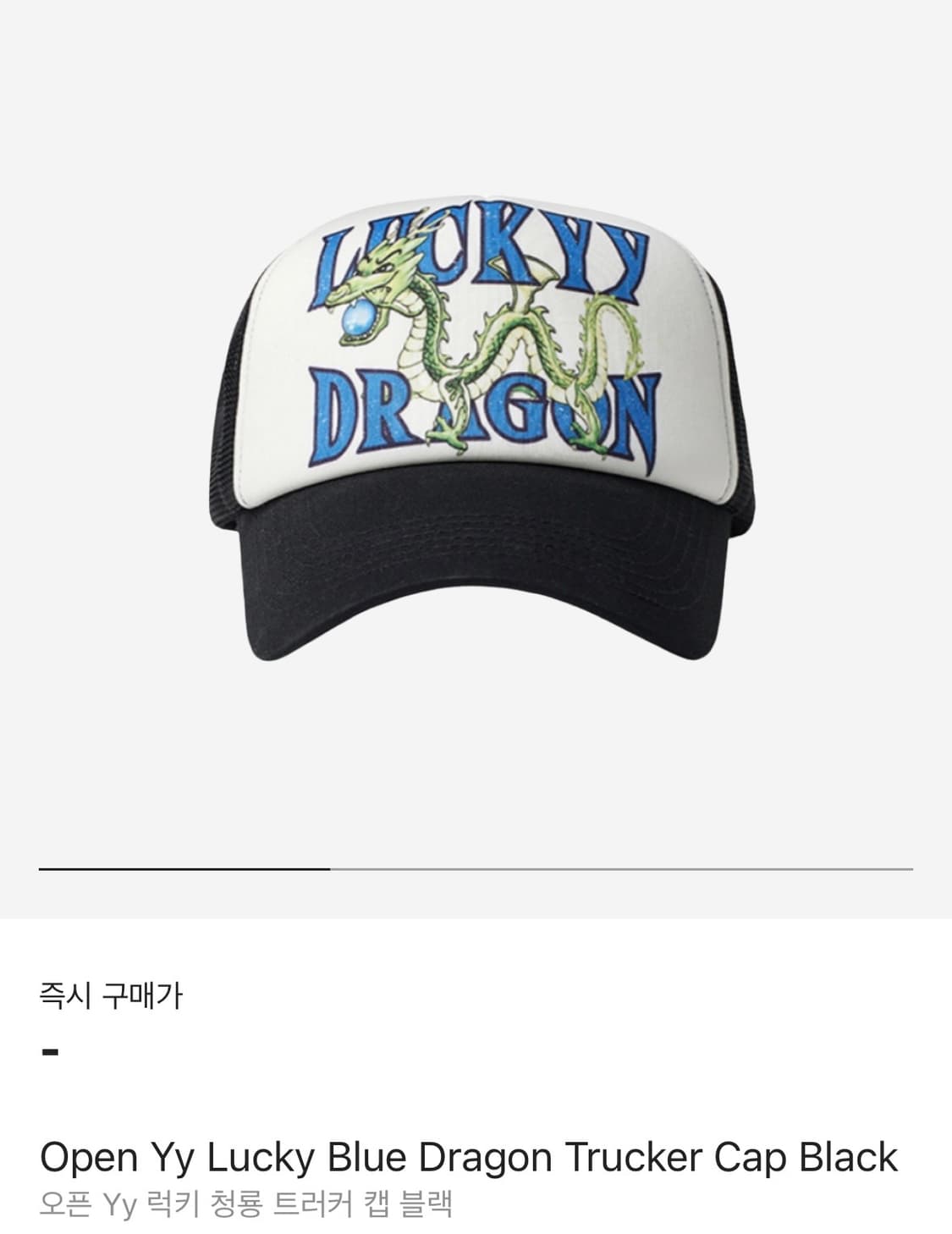 OPEN YY】 Lucky Dragon mesh Cap新品「SPYDER」LIGHT WEIGHT STRYKE