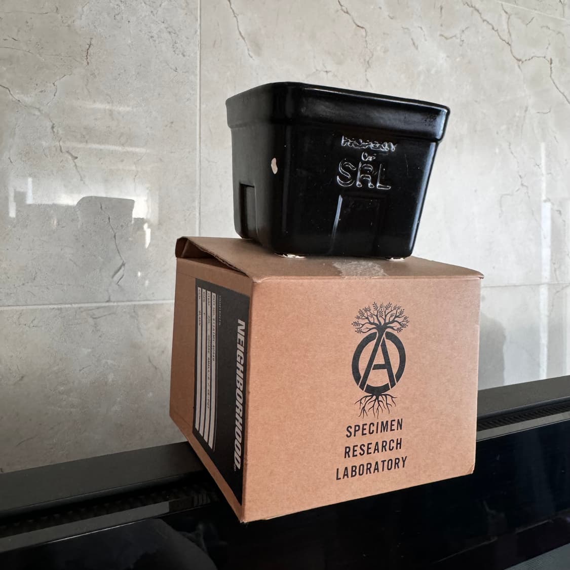 neighborhood×SRL . PLANT POT-M . PP Neighborhood SRL Square / P