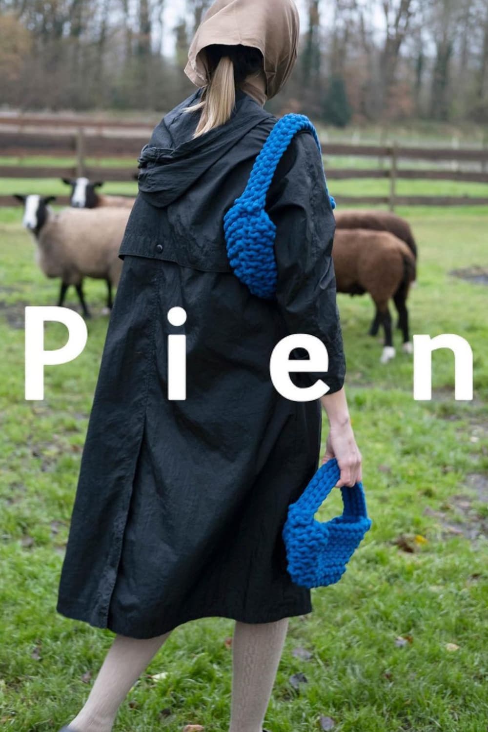 バッグ Pien studios handbag Pien studio Cobalt blue bag | 후루츠패밀리