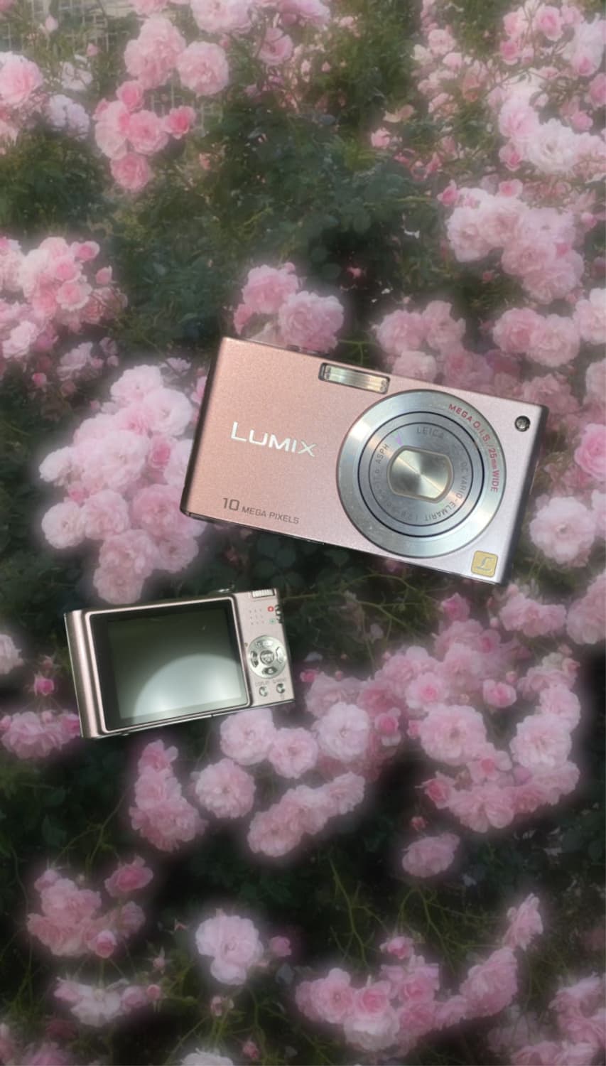 Panasonic Lumix Dmc-fx35 pink | 후루츠패밀리