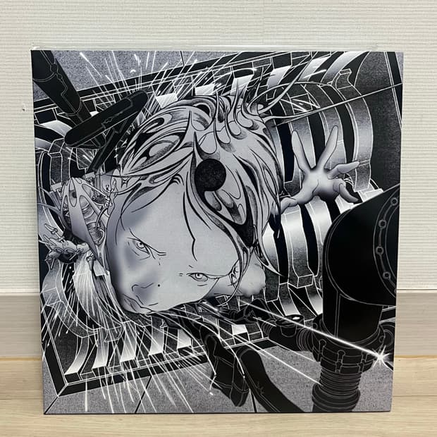 실리카겔 Silica Gel power andre 99 LP | 후루츠패밀리