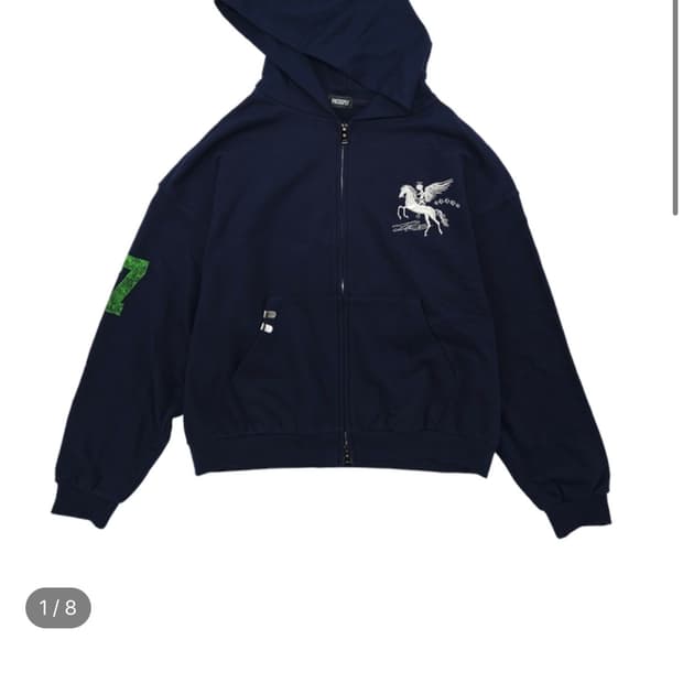 PACO SPLY] FALLING ANGEL ZIP UP HOODIE | 후루츠패밀리