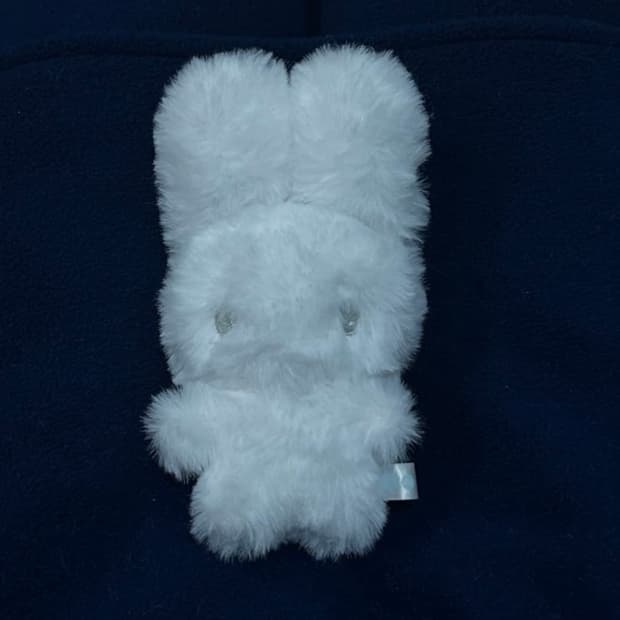 지초이 지토 jito | 후루츠패밀리