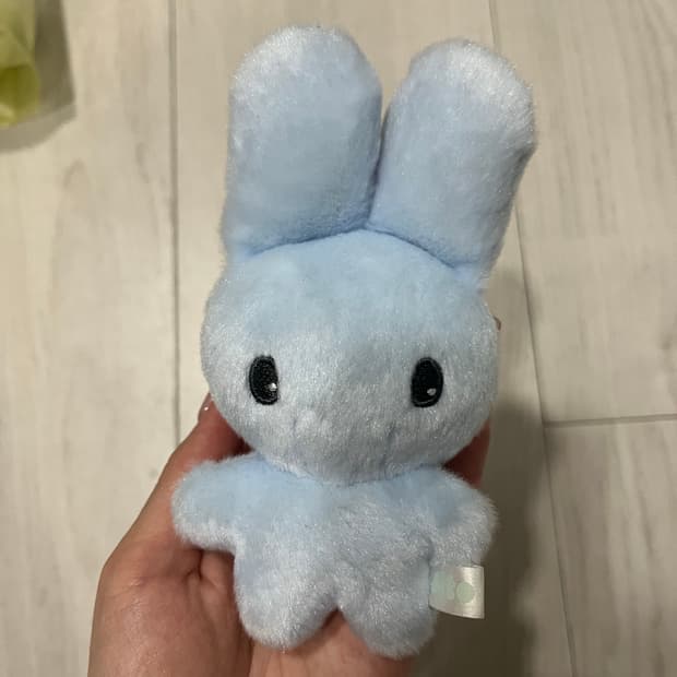 지초이 지토 블루 | 후루츠패밀리