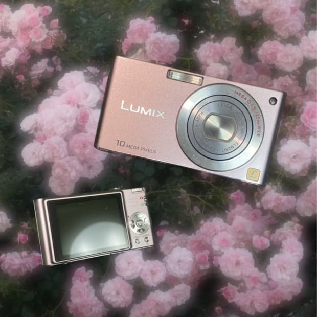 動作品！　人気　dmc-fx35 LUMIX ピンク Panasonic DMC-FX35-P Digital Camera LUMIX FX35 Cocktail Pink